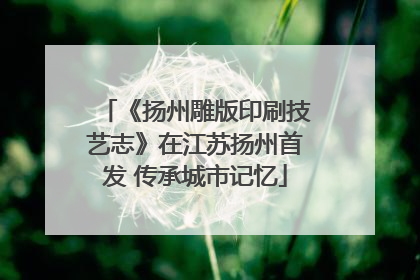 《扬州雕版印刷技艺志》在江苏扬州首发 传承城市记忆