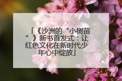 《沙洲的“小树苗”》新书首发式：让红色文化在新时代少年心中绽放