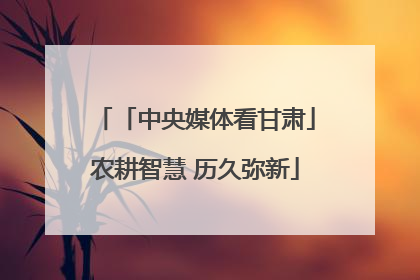 「中央媒体看甘肃」农耕智慧 历久弥新