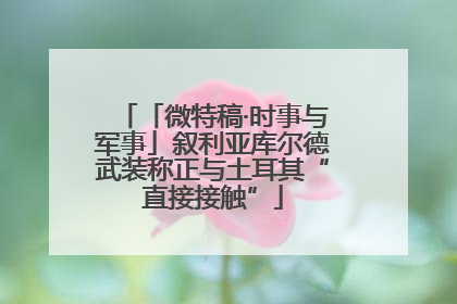 「微特稿·时事与军事」叙利亚库尔德武装称正与土耳其“直接接触”
