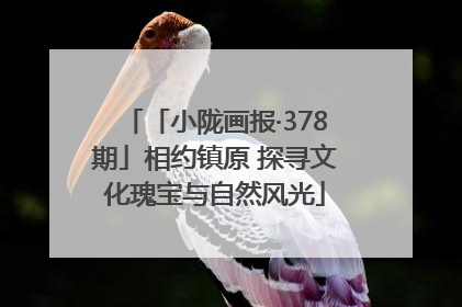 「小陇画报·378期」相约镇原 探寻文化瑰宝与自然风光