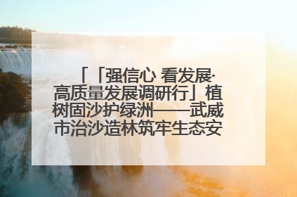 「强信心 看发展·高质量发展调研行」植树固沙护绿洲——武威市治沙造林筑牢生态安全屏障见闻