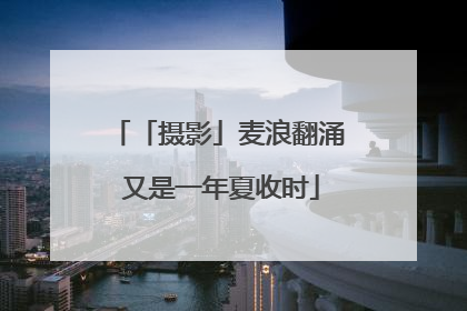 「摄影」麦浪翻涌 又是一年夏收时