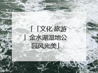 「文化·旅游」金水湖湿地公园风光美