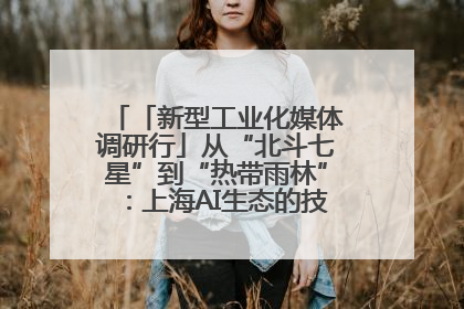 「新型工业化媒体调研行」从“北斗七星”到“热带雨林”：上海AI生态的技术商业共生密码