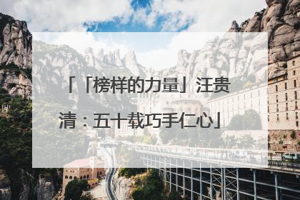 「榜样的力量」汪贵清：五十载巧手仁心