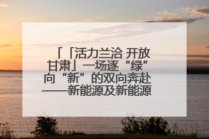 「活力兰洽 开放甘肃」一场逐“绿”向“新”的双向奔赴——新能源及新能源装备制造产业投资发展对接活动扫描