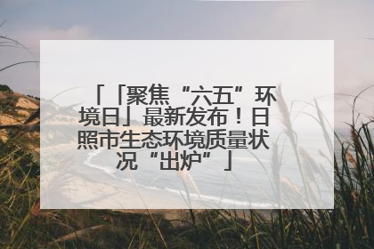 「聚焦“六五”环境日」最新发布！日照市生态环境质量状况“出炉”
