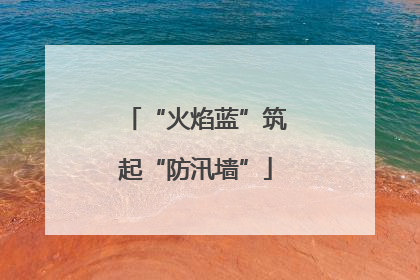 “火焰蓝”筑起“防汛墙”