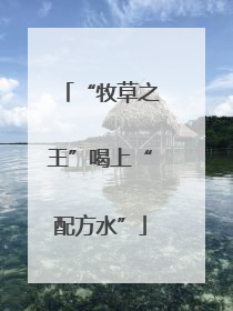 “牧草之王”喝上“配方水”