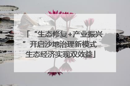 “生态修复+产业振兴”开启沙地治理新模式 生态经济实现双效益