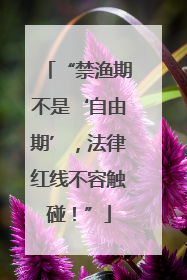 “禁渔期不是‘自由期’，法律红线不容触碰！”