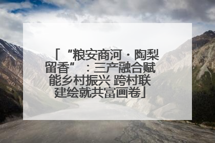“粮安商河・陶梨留香”：三产融合赋能乡村振兴 跨村联建绘就共富画卷