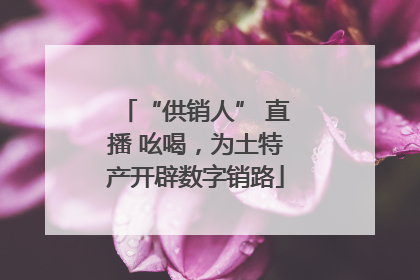 “供销人” 直播 吆喝，为土特产开辟数字销路