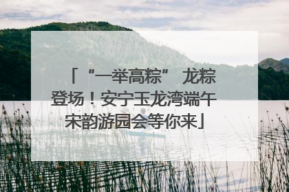 “一举高粽” 龙粽登场！安宁玉龙湾端午宋韵游园会等你来
