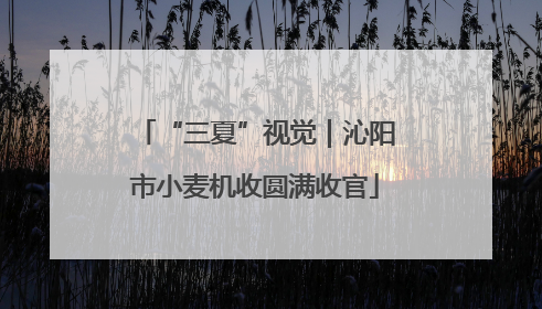 “三夏”视觉｜沁阳市小麦机收圆满收官