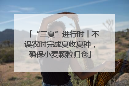 “三夏”进行时丨不误农时完成夏收夏种，确保小麦颗粒归仓