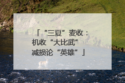 “三夏”麦收：机收“大比武” 减损论“英雄”