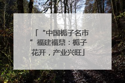 “中国栀子名市”福建福鼎：栀子花开，产业兴旺