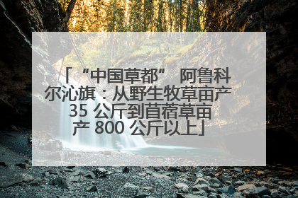 “中国草都” 阿鲁科尔沁旗：从野生牧草亩产 35 公斤到苜蓿草亩产 800 公斤以上