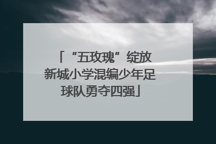 “五玫瑰”绽放 新城小学混编少年足球队勇夺四强