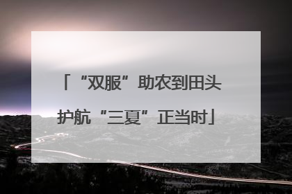 “双服”助农到田头 护航“三夏”正当时