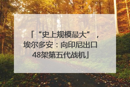 “史上规模最大”，埃尔多安：向印尼出口48架第五代战机