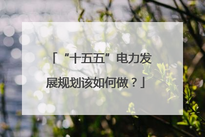 “十五五”电力发展规划该如何做？