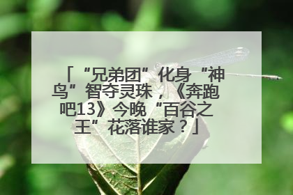 “兄弟团”化身“神鸟”智夺灵珠，《奔跑吧13》今晚“百谷之王”花落谁家？