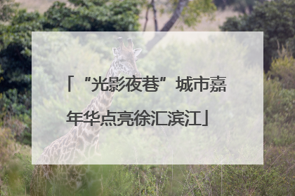 “光影夜巷”城市嘉年华点亮徐汇滨江