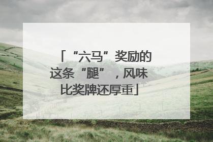 “六马”奖励的这条“腿”，风味比奖牌还厚重