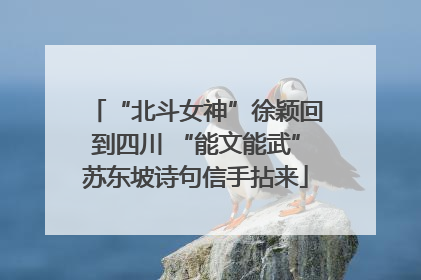 “北斗女神”徐颖回到四川 “能文能武”苏东坡诗句信手拈来