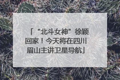 “北斗女神”徐颖回家！今天将在四川眉山主讲卫星导航