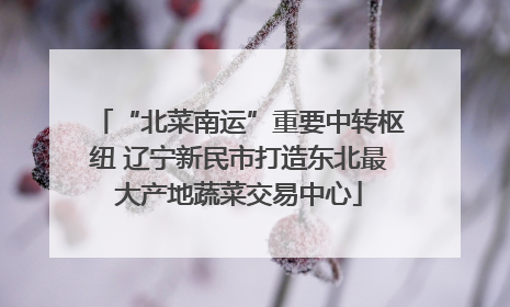 “北菜南运”重要中转枢纽 辽宁新民市打造东北最大产地蔬菜交易中心