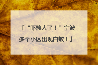 “吓煞人了！”宁波多个小区出现白蚁！