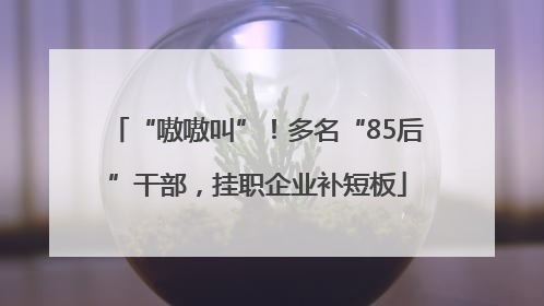 “嗷嗷叫”！多名“85后”干部，挂职企业补短板
