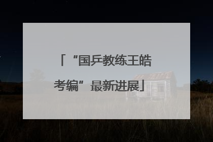 “国乒教练王皓考编”最新进展