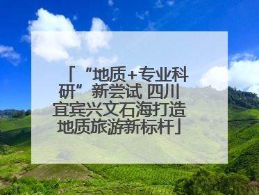 “地质+专业科研”新尝试 四川宜宾兴文石海打造地质旅游新标杆