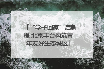 “学子回家”启新程 北京丰台构筑青年友好生态城区