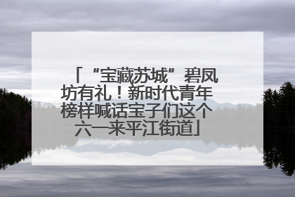 “宝藏苏城”碧凤坊有礼！新时代青年榜样喊话宝子们这个六一来平江街道