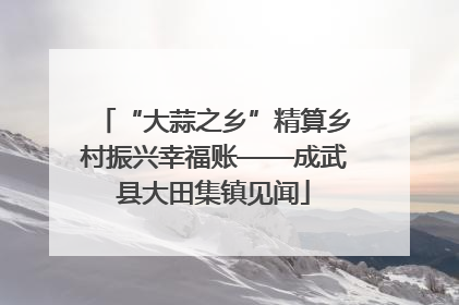 “大蒜之乡”精算乡村振兴幸福账——成武县大田集镇见闻