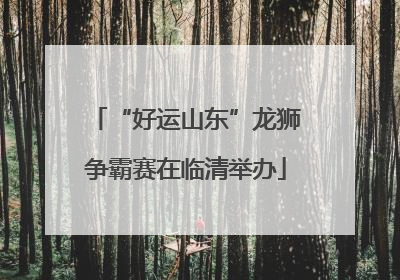 “好运山东”龙狮争霸赛在临清举办
