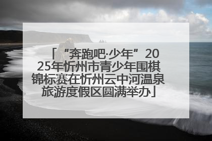 “奔跑吧·少年”2025年忻州市青少年围棋锦标赛在忻州云中河温泉旅游度假区圆满举办
