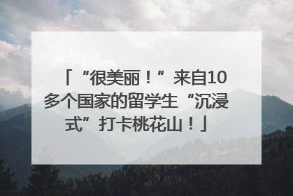 “很美丽！”来自10多个国家的留学生“沉浸式”打卡桃花山！