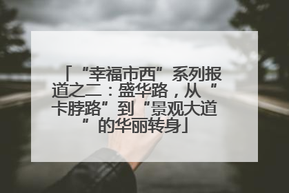 “幸福市西”系列报道之二：盛华路，从“卡脖路”到“景观大道”的华丽转身