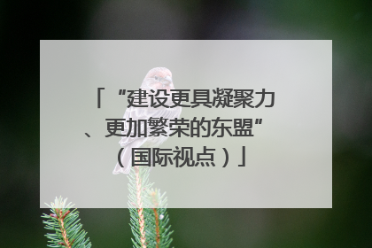 “建设更具凝聚力、更加繁荣的东盟”（国际视点）
