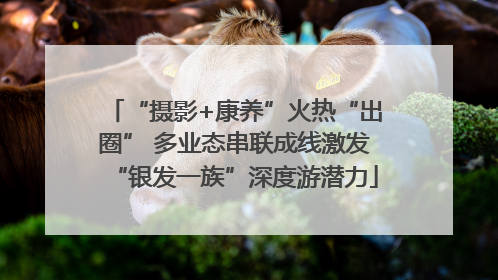 “摄影+康养”火热“出圈” 多业态串联成线激发“银发一族”深度游潜力