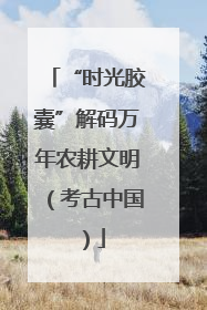 “时光胶囊”解码万年农耕文明（考古中国）