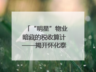 “明星”物业暗藏的税收算计——揭开怀化泰和物业服务有限公司隐匿未开票收入偷税真相