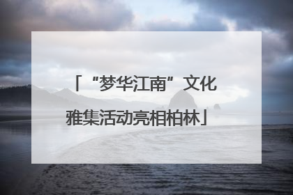 “梦华江南”文化雅集活动亮相柏林